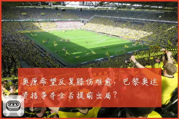 奥原希望反复膝伤难愈，巴黎奥运资格争夺会否提前出局？