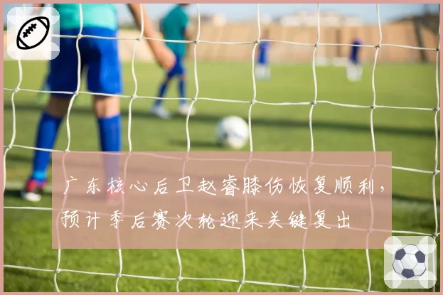 广东核心后卫赵睿膝伤恢复顺利，预计季后赛次轮迎来关键复出